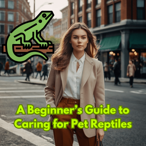 A Beginner’s Guide to Caring for Pet Reptiles 🦎