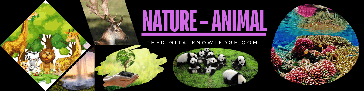 NATURE - thedigitalknowledge.com category